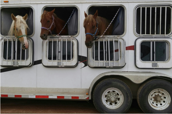 Wandern in Slowenien